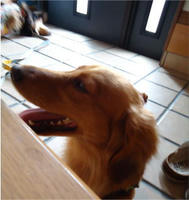 DSC00364-1.jpg