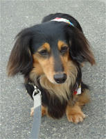 DSC00361-1.jpg