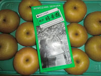CIMG0290.JPG