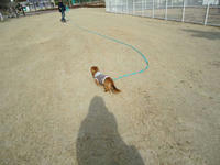 DSC01845-1.jpg
