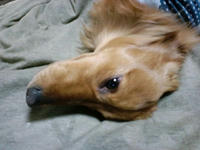 CA3C0321.JPG