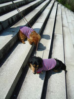 DSC01870.JPG