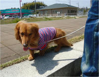 DSC01869.JPG