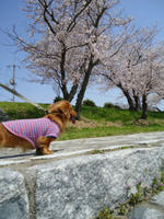 DSC01871.JPG