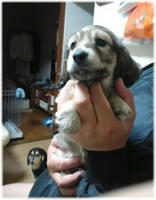 201103232054108d3-1.jpg