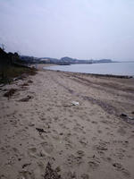 CA3C0718.jpg