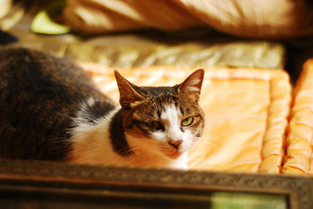 20081017.jpg