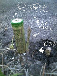 Docona-1.gif