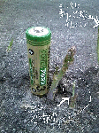 Doconanew-3.gif