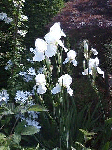 20080613.gif