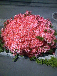 20080701.gif