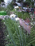 20080719-1.gif