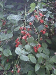 66a96f6d.gif