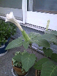 b496f591.gif