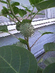 cc9c039b.gif