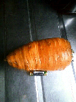 df9f2b54.gif