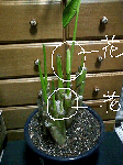 67be2c6d.gif