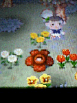 54b91224.gif