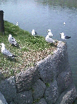 ecca5cdb.gif