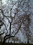 9702a9ff.gif