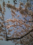 5b2451d0.gif