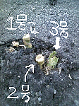 df6f6ca4.gif