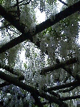 0c624d42.gif