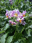 5ac5b78f.gif