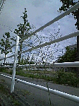 3511e427.gif