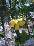 87cdb5eb.gif