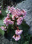 4b75630e.gif