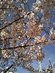 0eb21109.gif