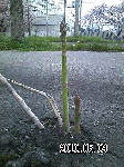 af070bc9.gif