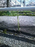 857a6505.gif