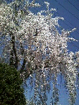 a5ae7d02.gif