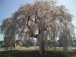 HI3B0049_2.jpg