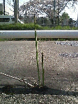 4bde6324.gif