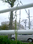 75a1bcbe.gif