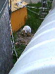 13043554.gif