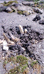 a47c9a38.gif
