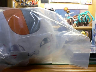 20091116-01.JPG