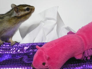 20100711-01.JPG