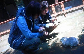 20110227-01.JPG