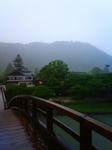 NEC_0006.JPG