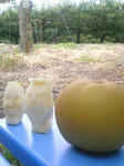 8737863_626388487_44large.jpg