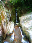 NEC_0027.JPG