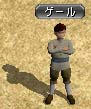 Nゲールs