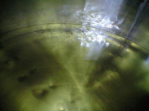 PAP_0409.JPG