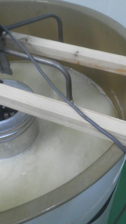 20101213094309.jpg