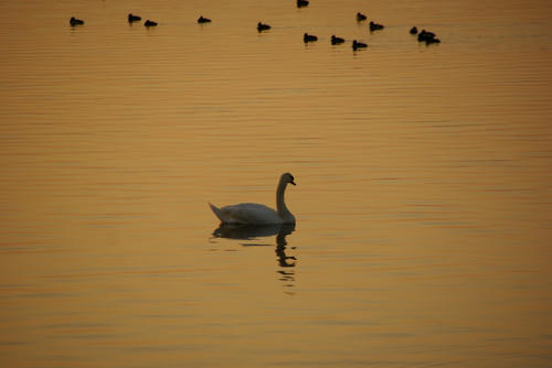 DSC01559.JPG